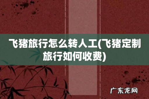 飞猪定制旅行如何收费 飞猪旅行怎么转人工