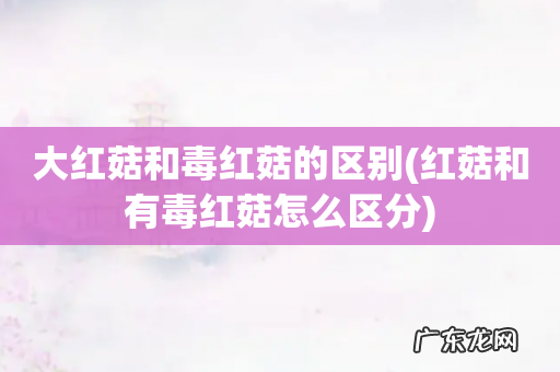 红菇和有毒红菇怎么区分 大红菇和毒红菇的区别