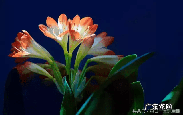 宝剑悬挂位置 风水 风水宝剑是什么寓意