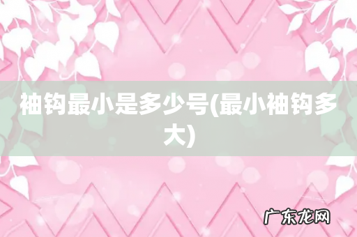 最小袖钩多大 袖钩最小是多少号