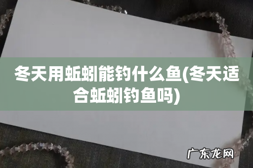 冬天适合蚯蚓钓鱼吗 冬天用蚯蚓能钓什么鱼