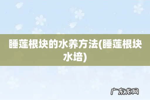 睡莲根块水培 睡莲根块的水养方法