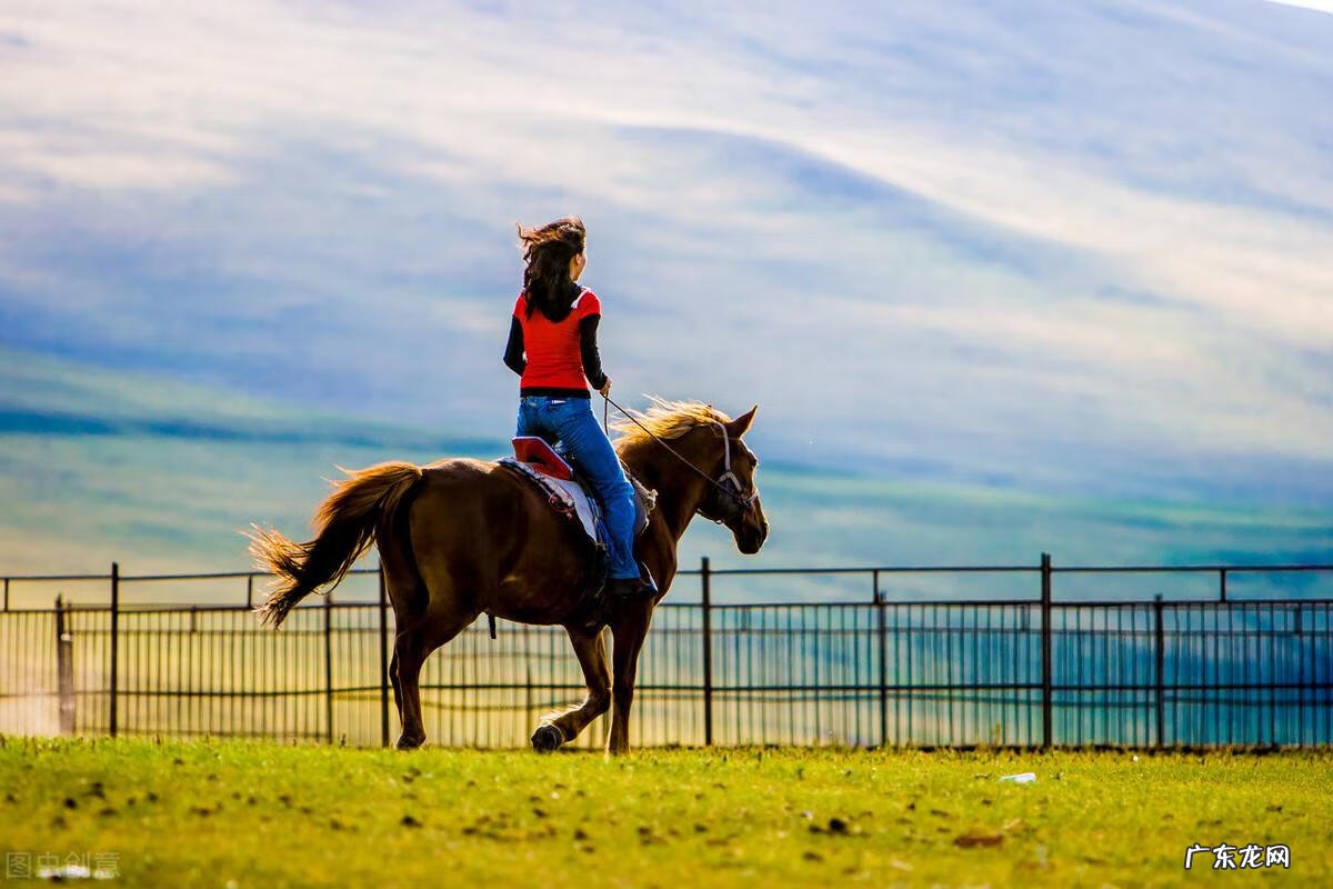 长颈鹿英语趣味学 长颈鹿英语怎么说读