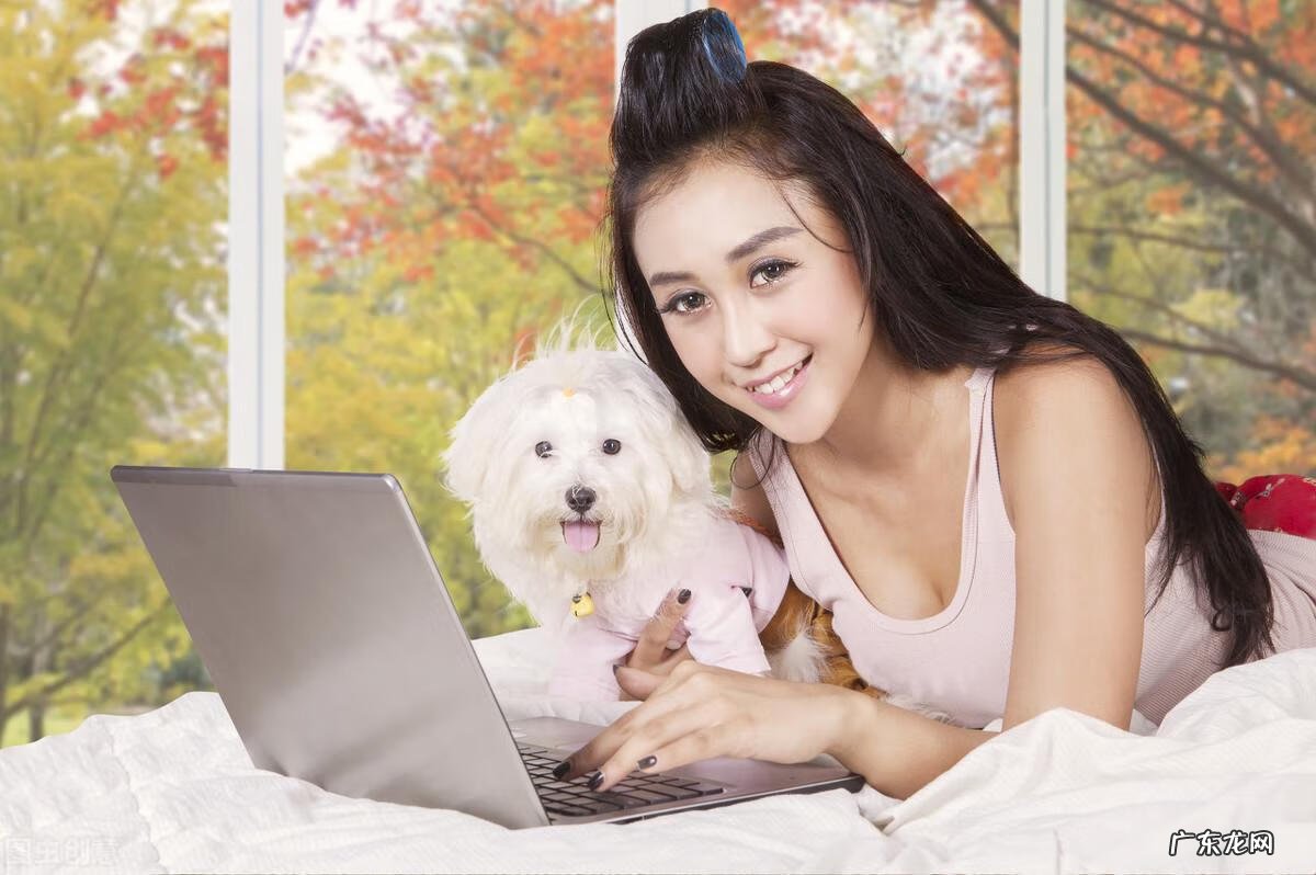 长颈鹿英语趣味学 长颈鹿英语怎么说读