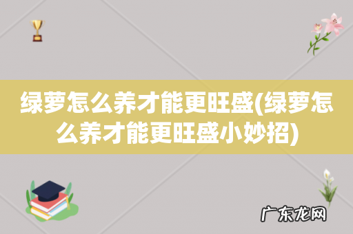 绿萝怎么养才能更旺盛小妙招 绿萝怎么养才能更旺盛