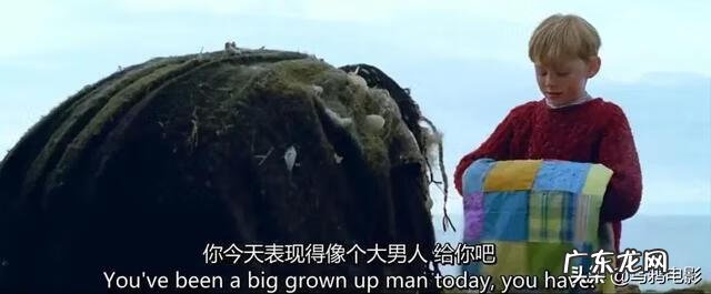 芬格尔和eva关系 芬格尔