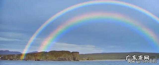 芬格尔和eva关系 芬格尔