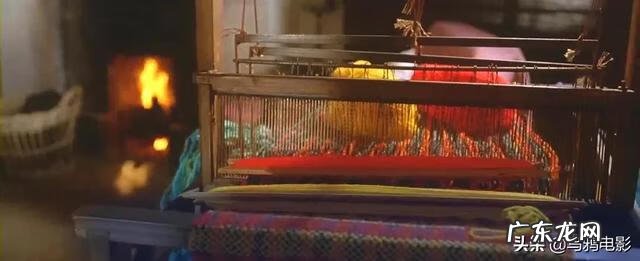 芬格尔和eva关系 芬格尔