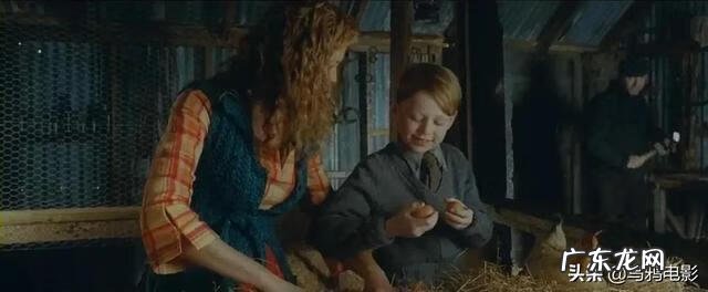 芬格尔和eva关系 芬格尔