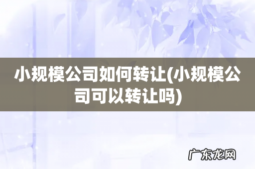 小规模公司可以转让吗 小规模公司如何转让
