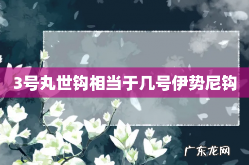 3号丸世钩相当于几号伊势尼钩