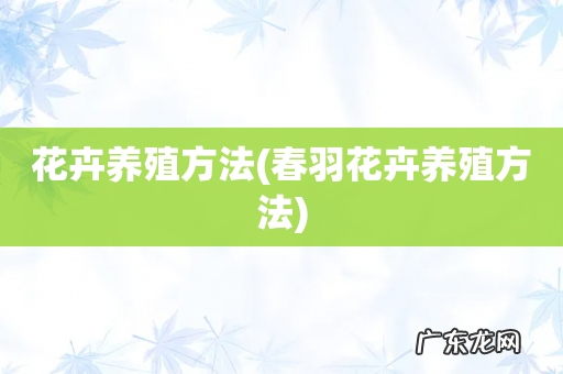 春羽花卉养殖方法 花卉养殖方法