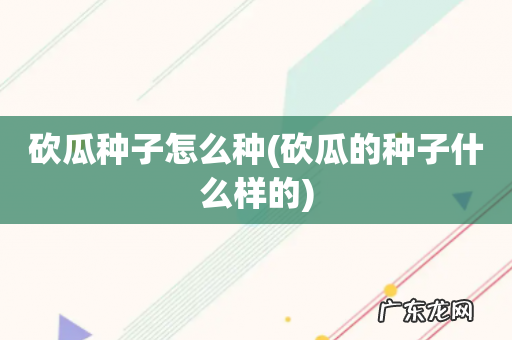 砍瓜的种子什么样的 砍瓜种子怎么种