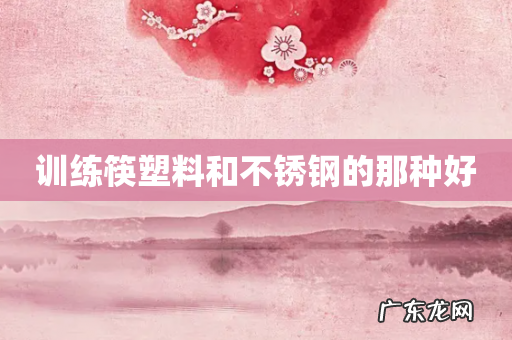 训练筷塑料和不锈钢的那种好