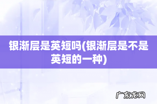 银渐层是不是英短的一种 银渐层是英短吗