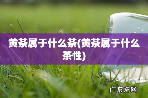 黄茶属于什么茶性 黄茶属于什么茶