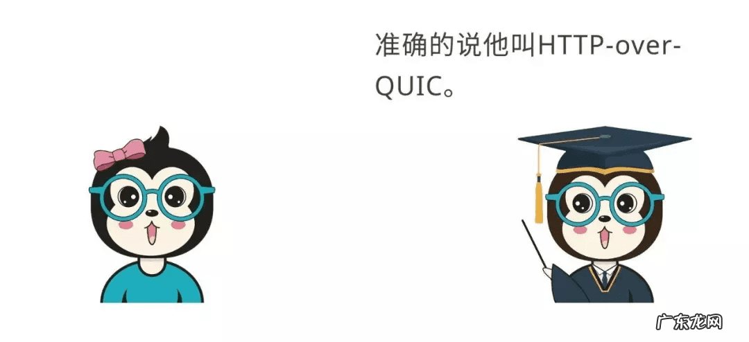 作用与功能 作用是什么意思