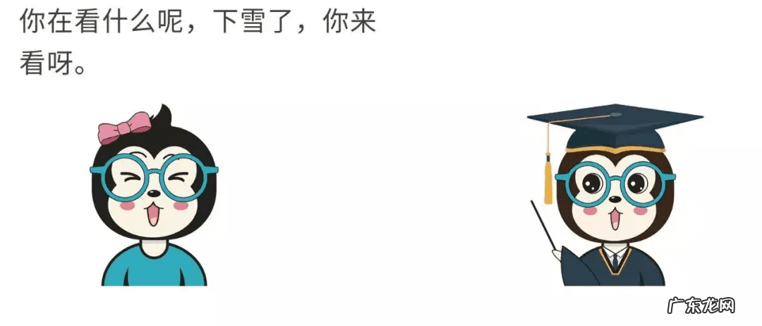 作用与功能 作用是什么意思