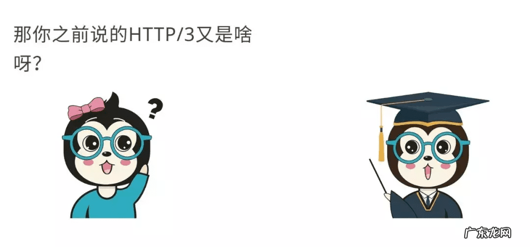 作用与功能 作用是什么意思