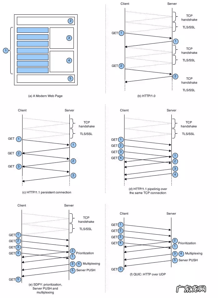 作用与功能 作用是什么意思