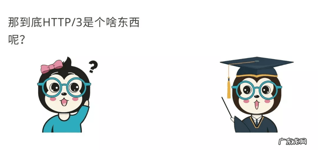 作用与功能 作用是什么意思