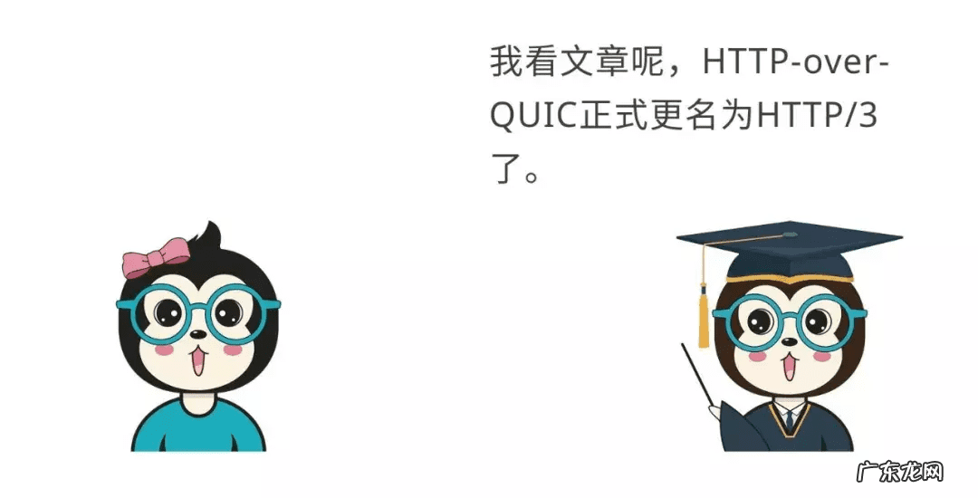 作用与功能 作用是什么意思