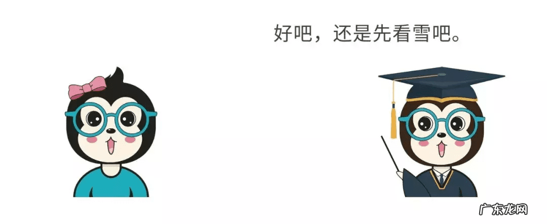 作用与功能 作用是什么意思