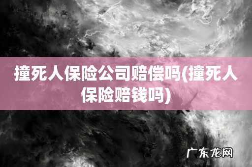 撞死人保险赔钱吗 撞死人保险公司赔偿吗