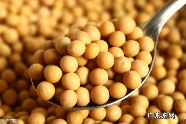 大豆异黄酮排名前十名 大豆异黄酮的功效与作用