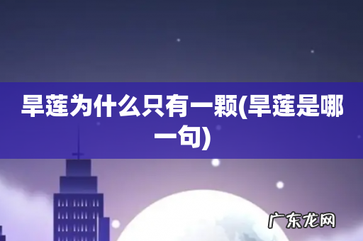 旱莲是哪一句 旱莲为什么只有一颗