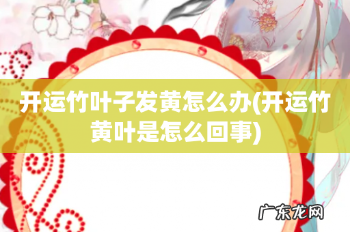 开运竹黄叶是怎么回事 开运竹叶子发黄怎么办