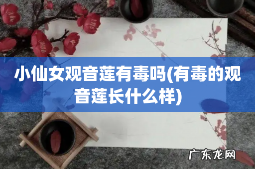 有毒的观音莲长什么样 小仙女观音莲有毒吗