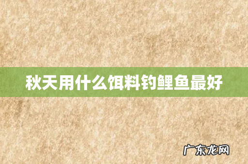 秋天用什么饵料钓鲤鱼最好