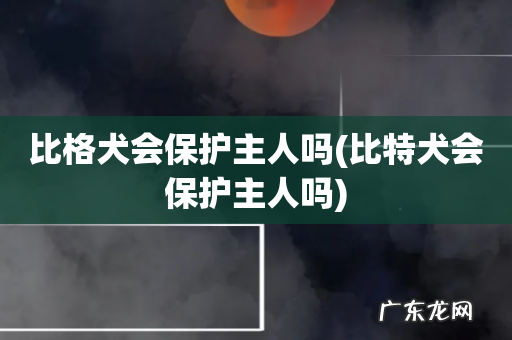 比特犬会保护主人吗 比格犬会保护主人吗
