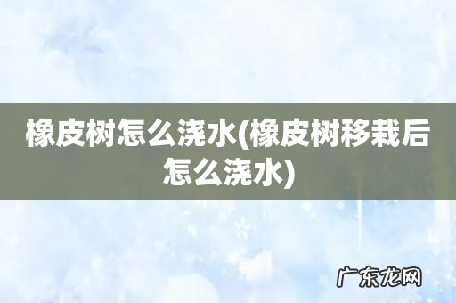 橡皮树移栽后怎么浇水 橡皮树怎么浇水
