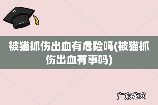 被猫抓伤出血有事吗 被猫抓伤出血有危险吗