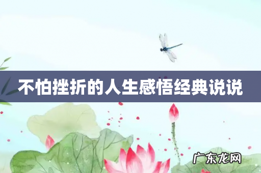 不怕挫折的人生感悟经典说说