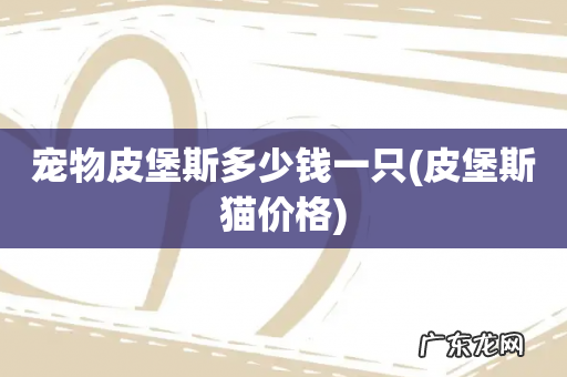 皮堡斯猫价格 宠物皮堡斯多少钱一只