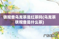 乌龙茶铁观音是什么茶 铁观音乌龙茶是红茶吗