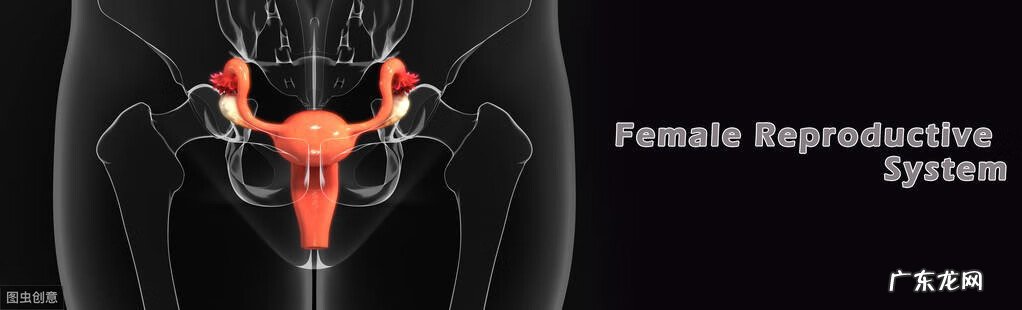 长期慢性细菌性阴炎怎么根治 得了细菌性阴炎怎么根治