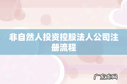 非自然人投资控股法人公司注册流程