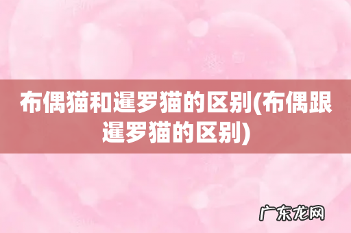布偶跟暹罗猫的区别 布偶猫和暹罗猫的区别