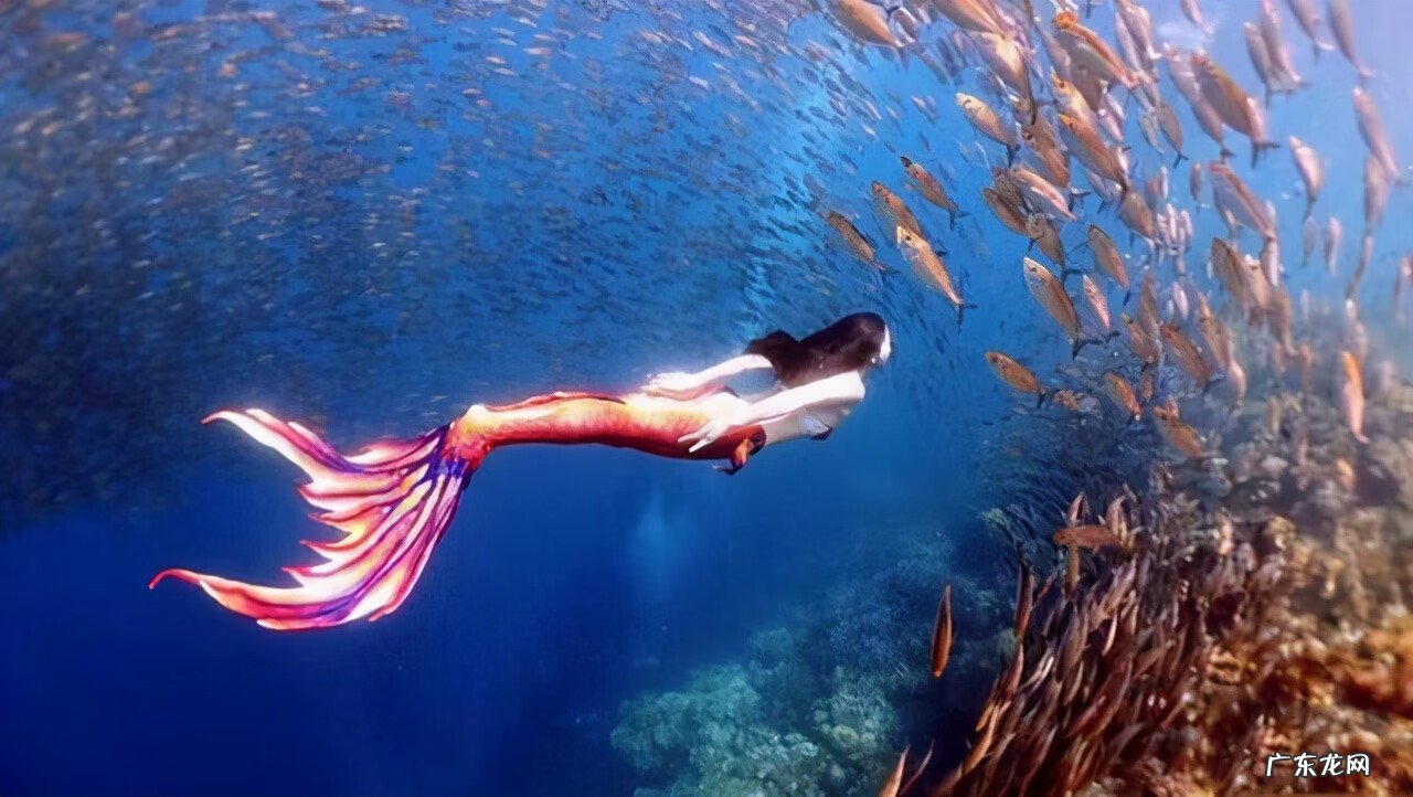 卷珠帘中国好舞蹈 中国风水下舞蹈《卷珠帘》