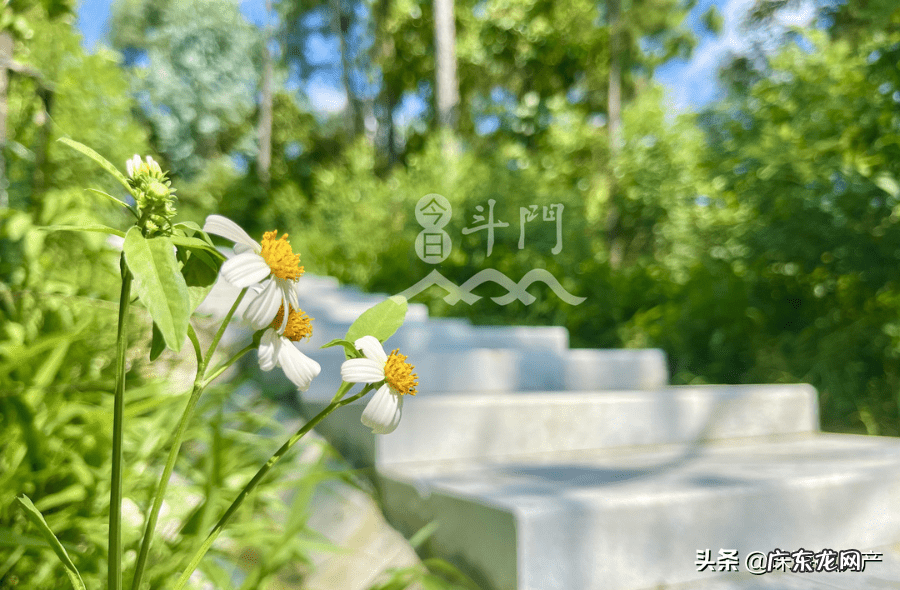 斗门黄桐山庄 斗门黄扬山风水