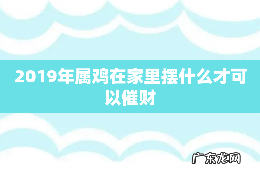 2019年属鸡在家里摆什么才可以催财