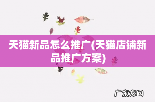 天猫店铺新品推广方案 天猫新品怎么推广