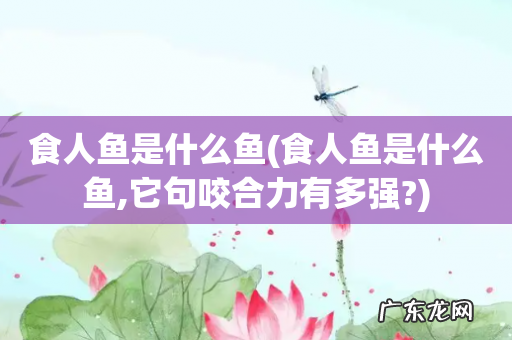 食人鱼是什么鱼,它句咬合力有多强? 食人鱼是什么鱼