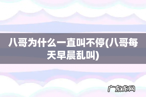 八哥每天早晨乱叫 八哥为什么一直叫不停