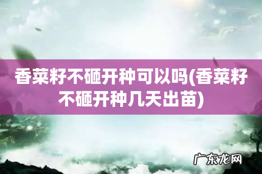 香菜籽不砸开种几天出苗 香菜籽不砸开种可以吗