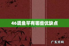 46调鱼竿有哪些优缺点